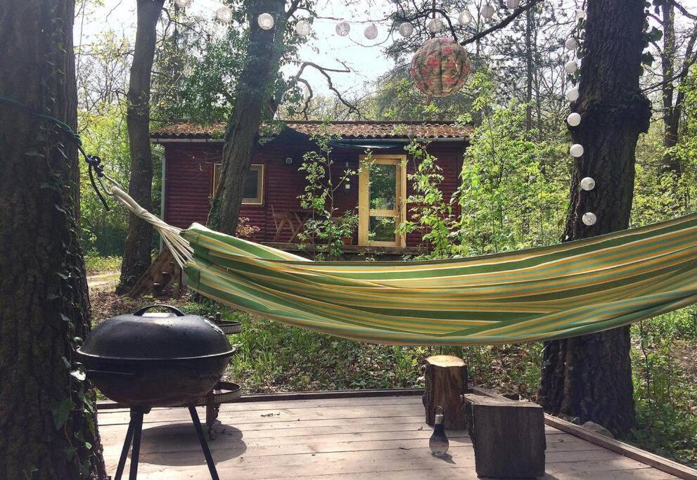 Verőcemaros Cinke Cottage, Nest In Nature מראה חיצוני תמונה